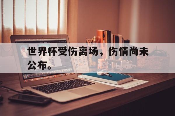 c7下载官网入口-世界杯受伤离场，伤情尚未公布。