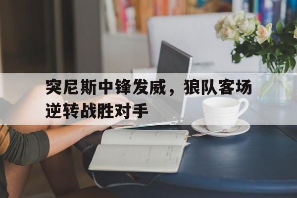 突尼斯中锋发威，狼队客场逆转战胜对手