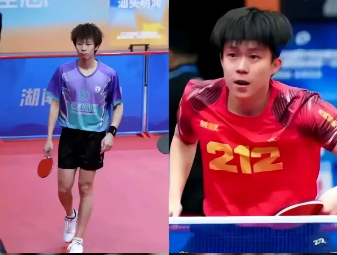 c7下载官网入口-海港强势横扫国乒晋级半决赛，状态火热！！